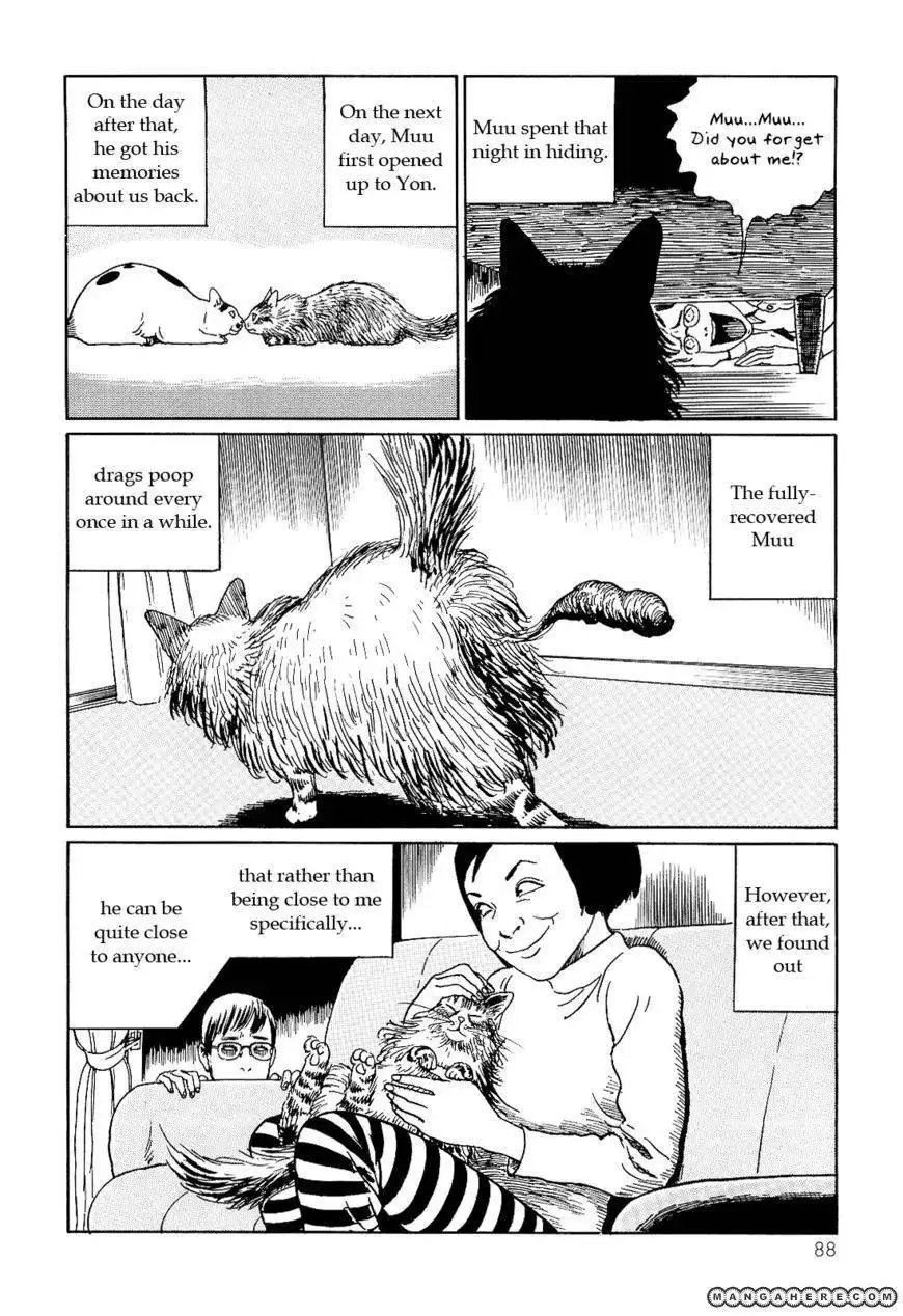 Ito Junji's Cat Diary Chapter 8 10